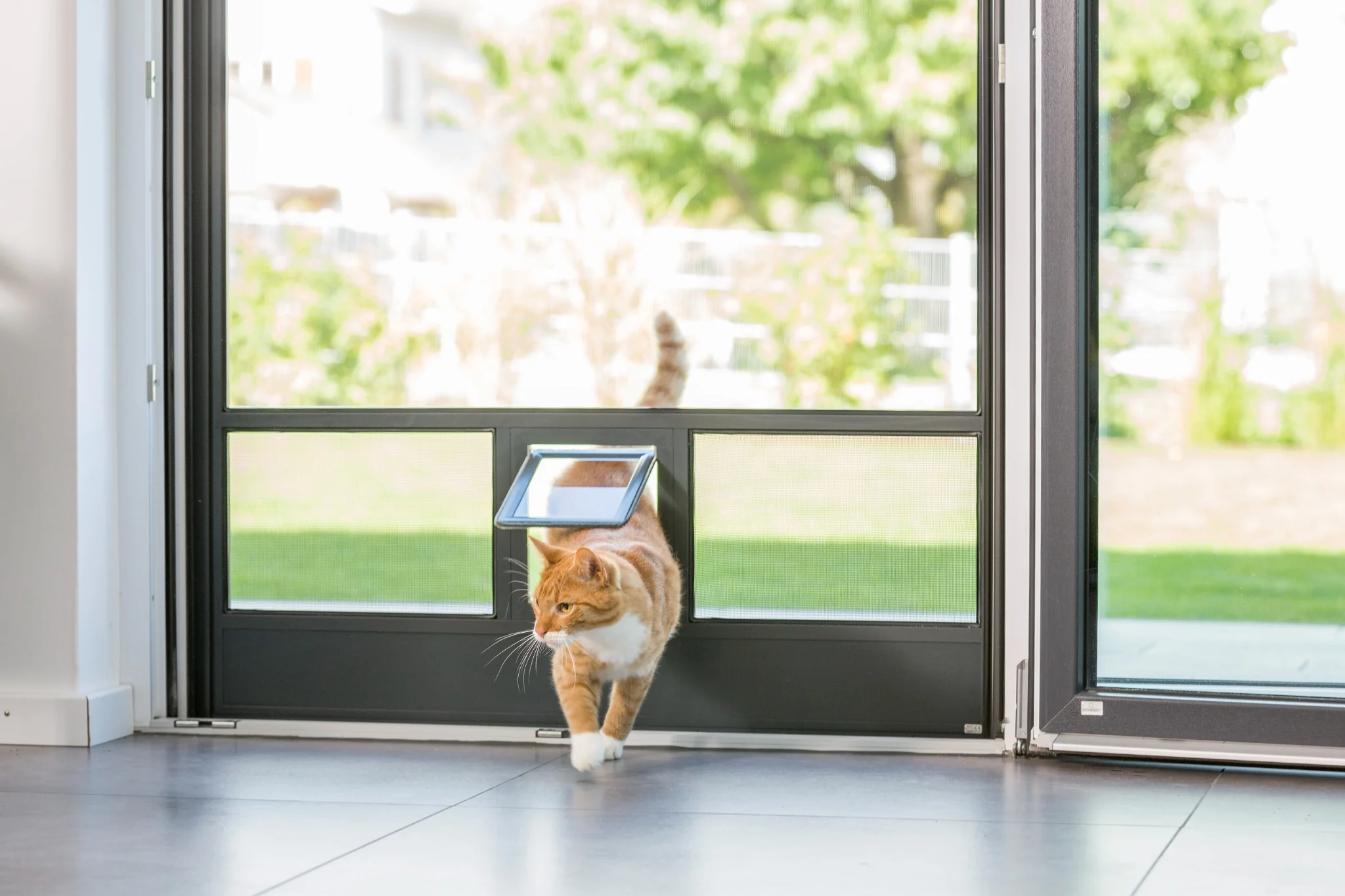 Katze läuft durch eine Katzenklappe in einer Insektenschutztür