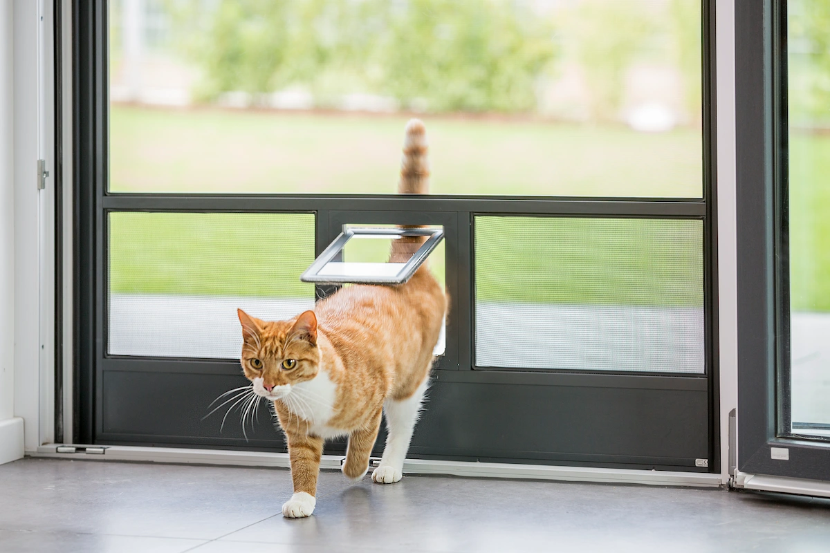 Insektenschutztür mit integrierter Katzenklappe
