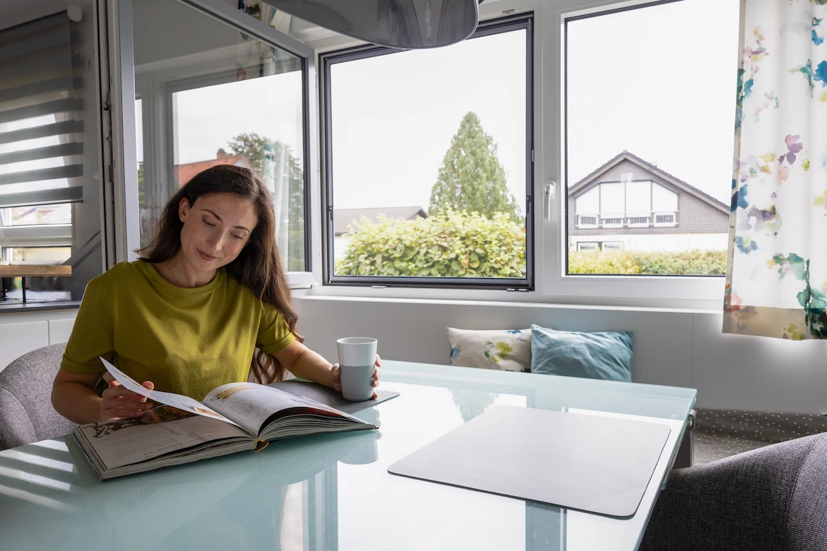 Fliegengitter Spannrahmen offenes Fenster