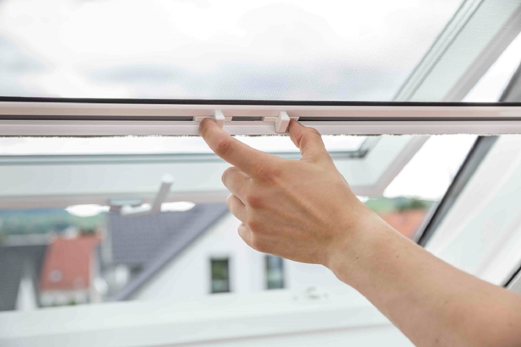 Insektenschutz Rollo Fenster Fliegengitter Leipzig