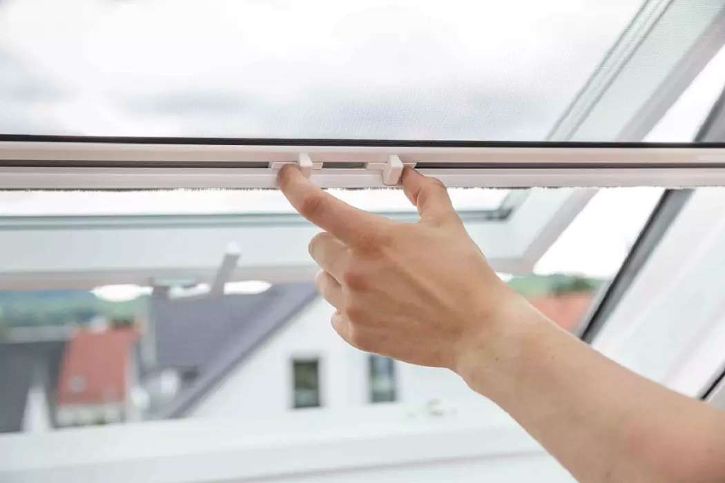 Insektenschutz Rollo Fenster Fliegengitter Leipzig